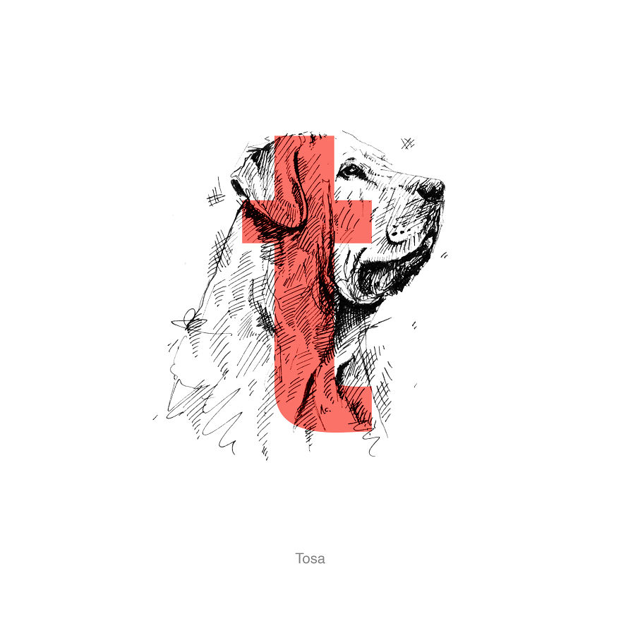 Dog Alphabet Number Two, That I Made From The First Letters Of Their Breeds