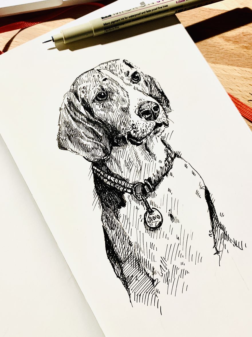 Dog Alphabet Number Two, That I Made From The First Letters Of Their Breeds