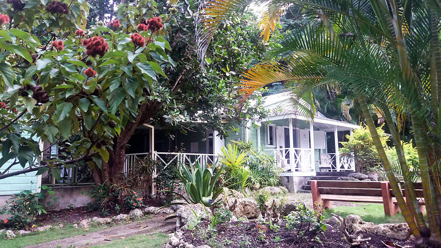 I Spent A Few Hours Exploring Andromeda Botanic Gardens