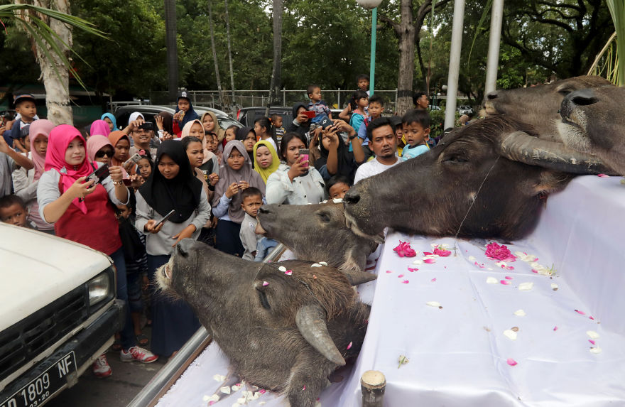 First Milling Ceremony