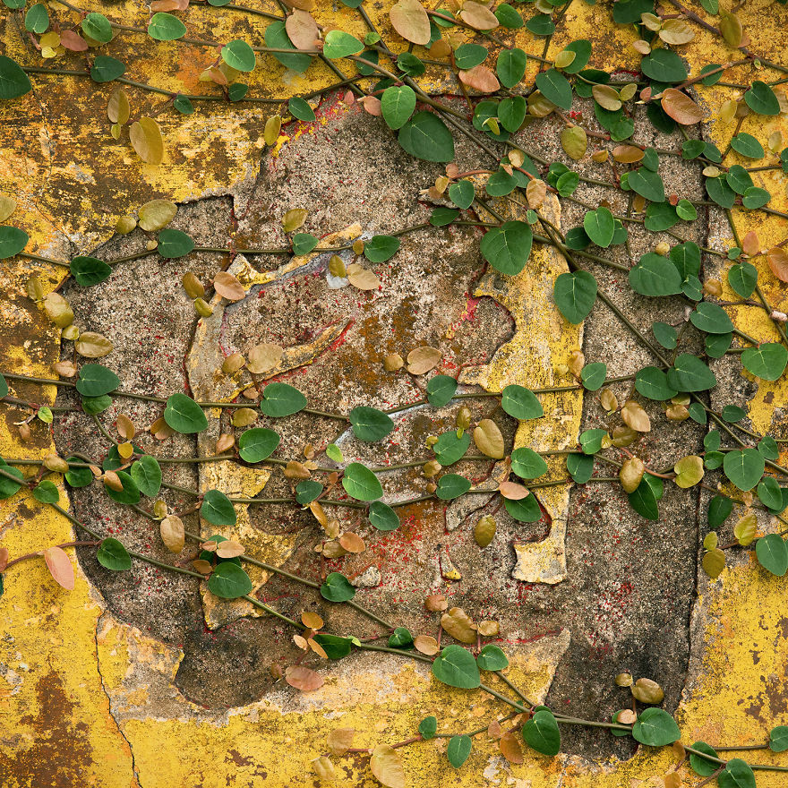 I Took 1,000 Photos Of Hong Kong’s Old Shop Signs And I Have Been Learning Chinese To Create This Visual Poetry
