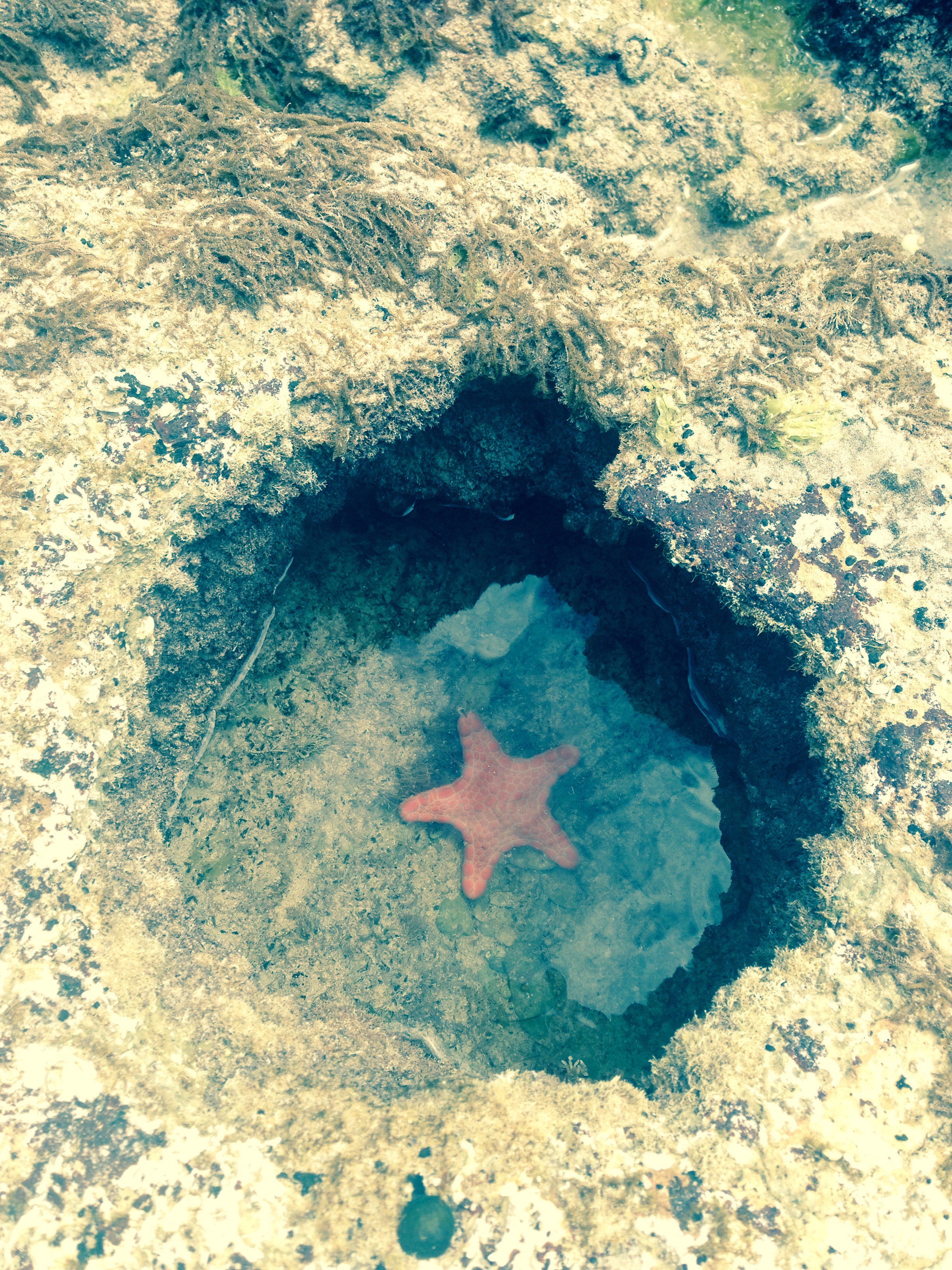 Amazingly Talented 13 Year Old Girl Took Amazing Photos With An iPhone 5 Whilst On A Holiday And The Results Are Stunning!