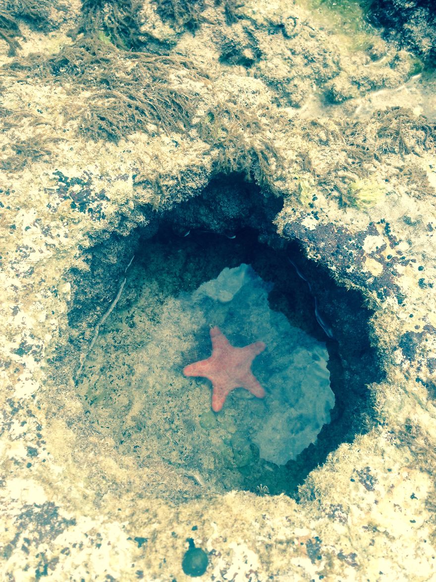 Amazingly Talented 13 Year Old Girl Took Amazing Photos With An iPhone 5 Whilst On A Holiday And The Results Are Stunning! Amazingly Talented 13 Year Old Girl Took Amazing Photos With An iPhone 5 Whilst On A Holiday And The Results Are Stunning!