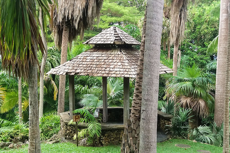 I Spent A Few Hours Exploring Andromeda Botanic Gardens