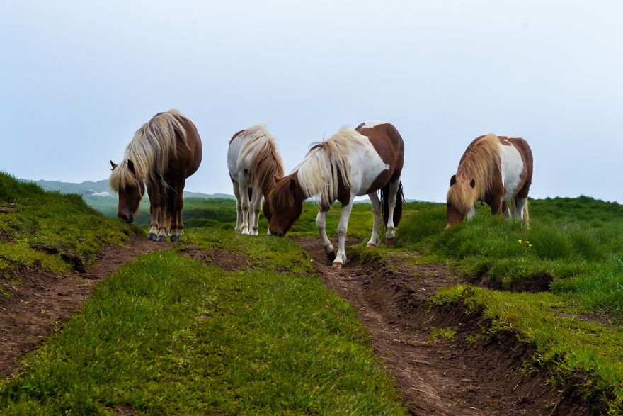 I Spent Five Weeks In Iceland, My Heart Has Never Left