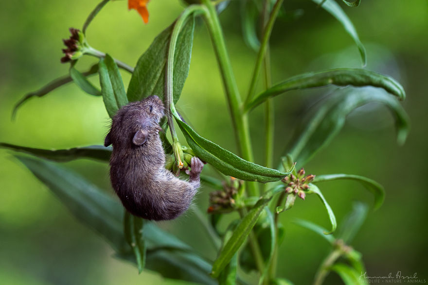 That Is More Comfortable Than It Looks