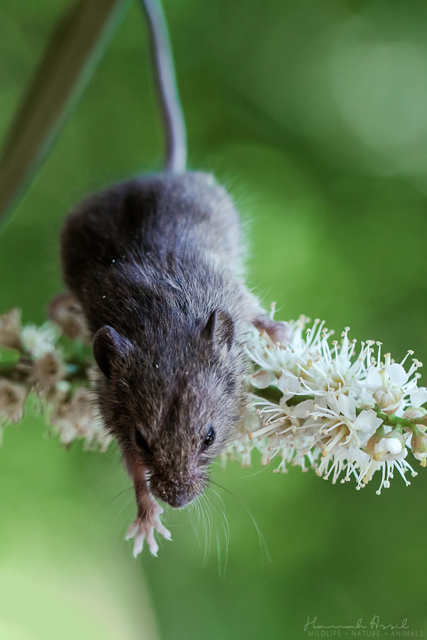 The Ground Is So Far Away!