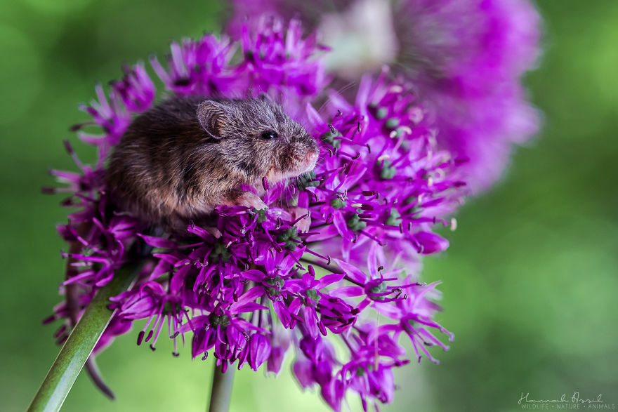 Tired After The Shoot