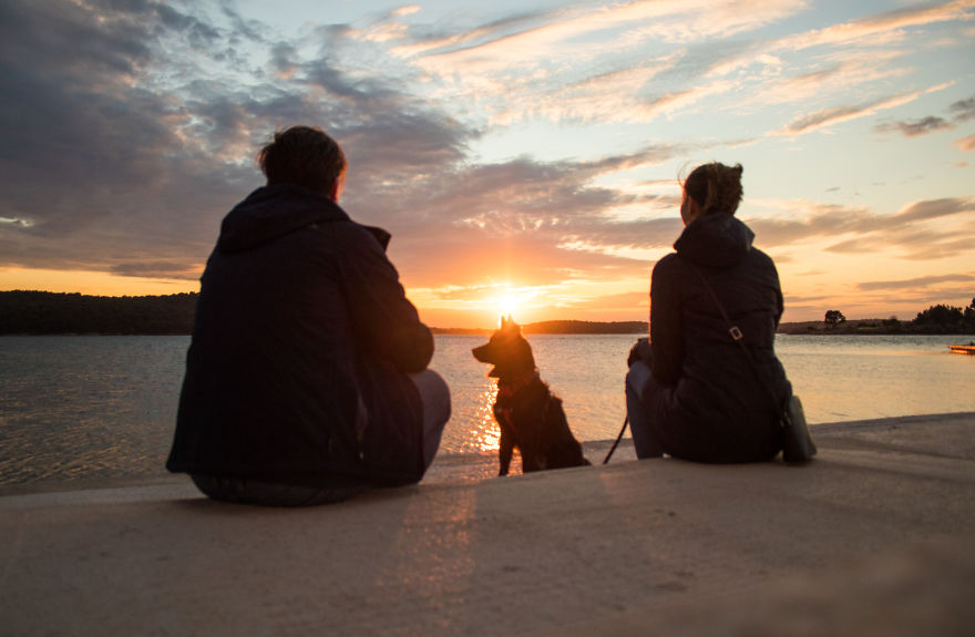 The Life For 8 Months With My First Rescue Dog The Life For 8 Months With My First Rescue Dog