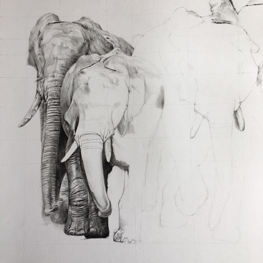 One Pen And One Month Later: Drawing My 5 Elephants