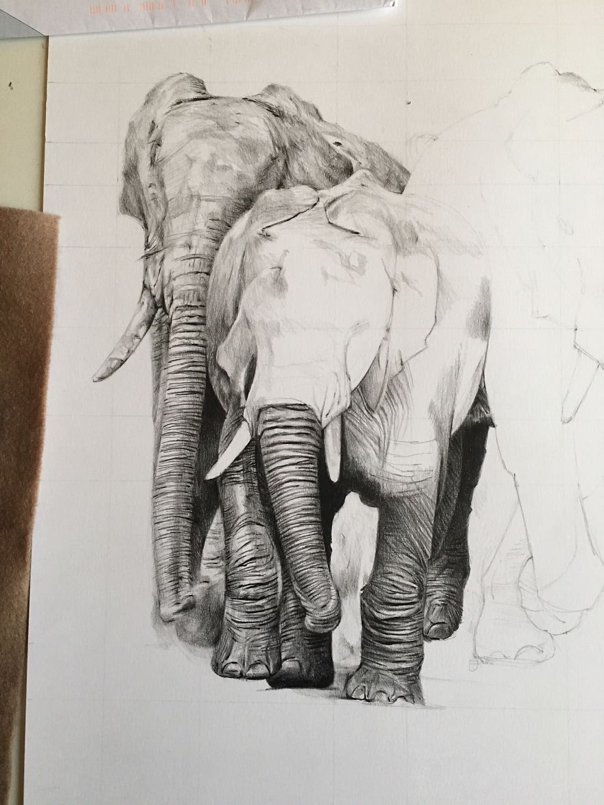 One Pen And One Month Later: Drawing My 5 Elephants