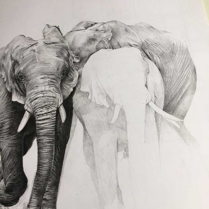 One Pen And One Month Later: Drawing My 5 Elephants One Pen And One Month Later: Drawing My 5 Elephants