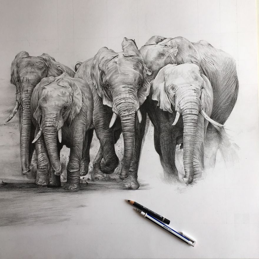 One Pen And One Month Later: Drawing My 5 Elephants