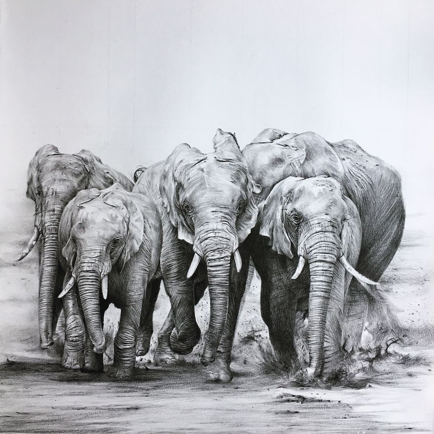 One Pen And One Month Later: Drawing My 5 Elephants