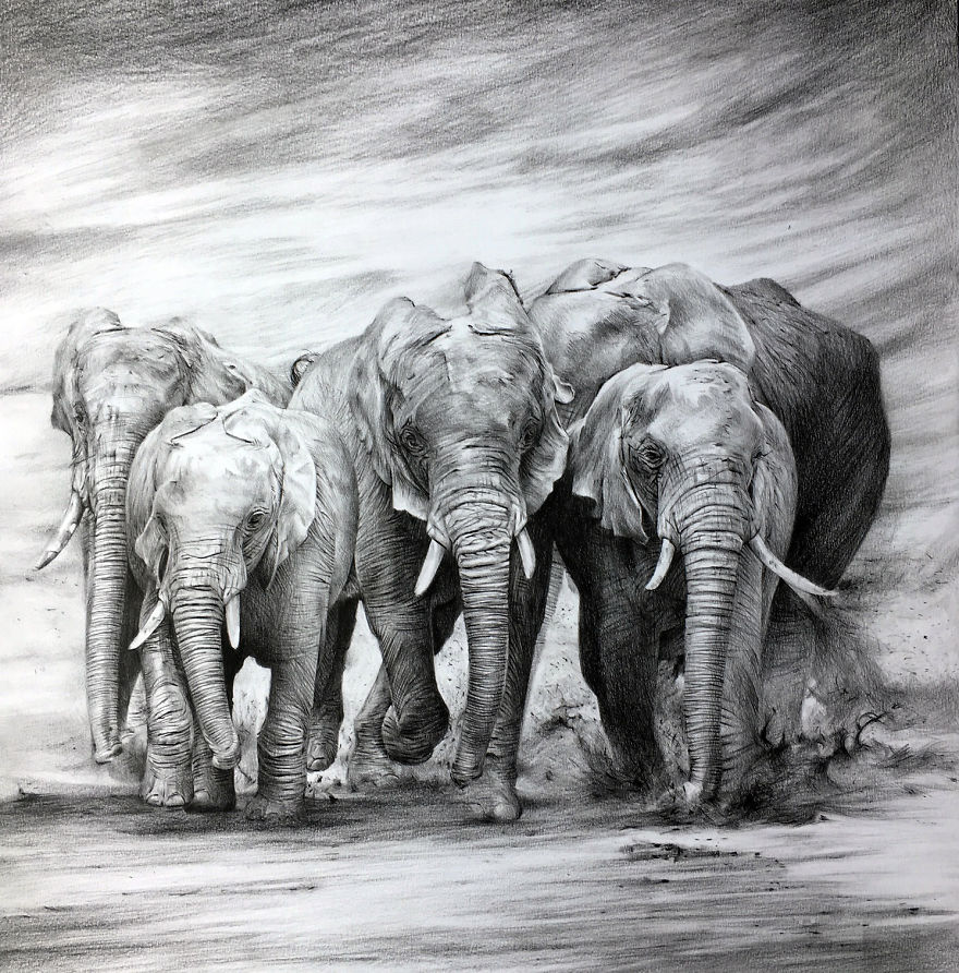 One Pen And One Month Later: Drawing My 5 Elephants
