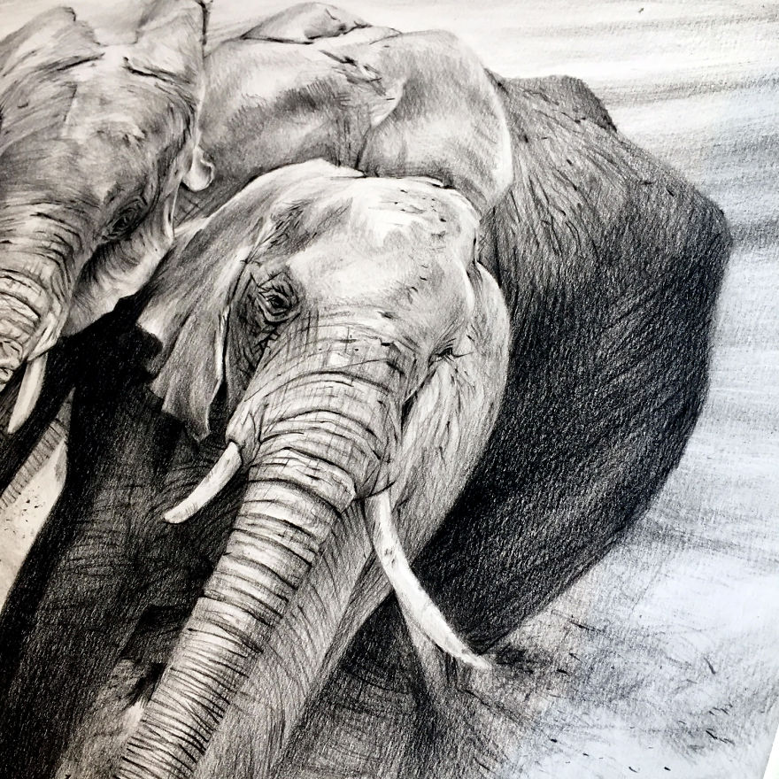One Pen And One Month Later: Drawing My 5 Elephants