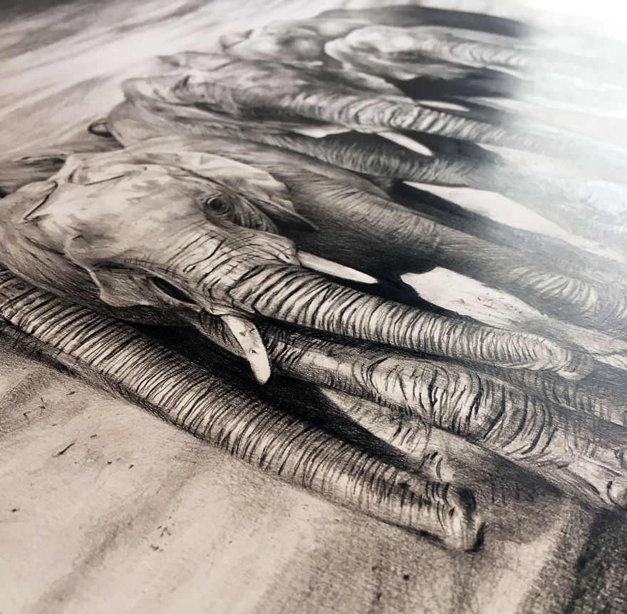 One Pen And One Month Later: Drawing My 5 Elephants One Pen And One Month Later: Drawing My 5 Elephants