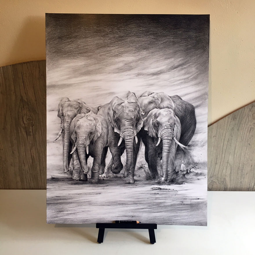 One Pen And One Month Later: Drawing My 5 Elephants