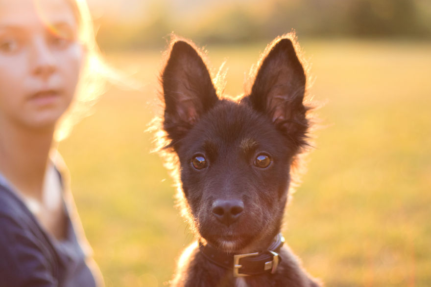 The Life For 8 Months With My First Rescue Dog The Life For 8 Months With My First Rescue Dog