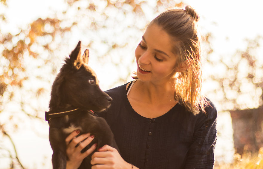 The Life For 8 Months With My First Rescue Dog The Life For 8 Months With My First Rescue Dog