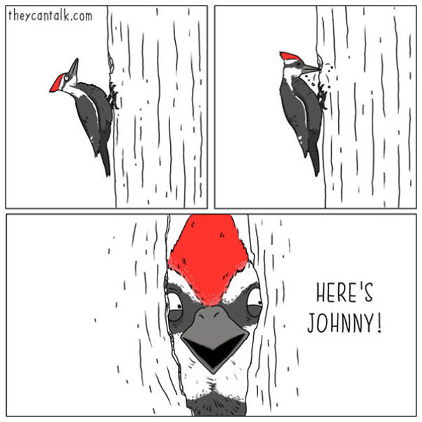 If Birds Could Talk, Here's What They Might Be Saying