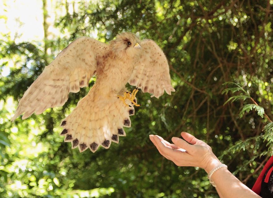 Inspired By Nature, I Upcycle Faux Fur Fabric By Sewing It Into Realistic-Looking Animals