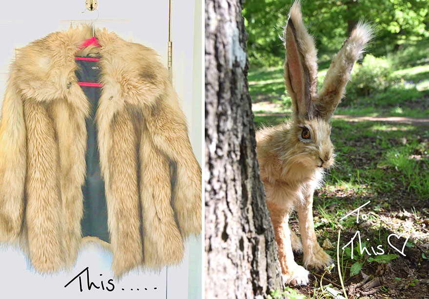 Inspired By Nature, I Upcycle Faux Fur Fabric By Sewing It Into Realistic-Looking Animals Inspired By Nature, I Upcycle Faux Fur Fabric By Sewing It Into Realistic-Looking Animals