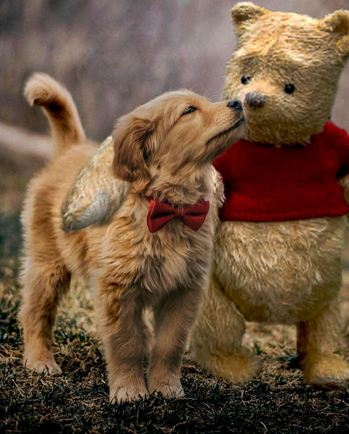 This Beautiful Puppy And Her Butterfly Friend Inspired A Photoshop Battle And You Could Add Your Own Picture