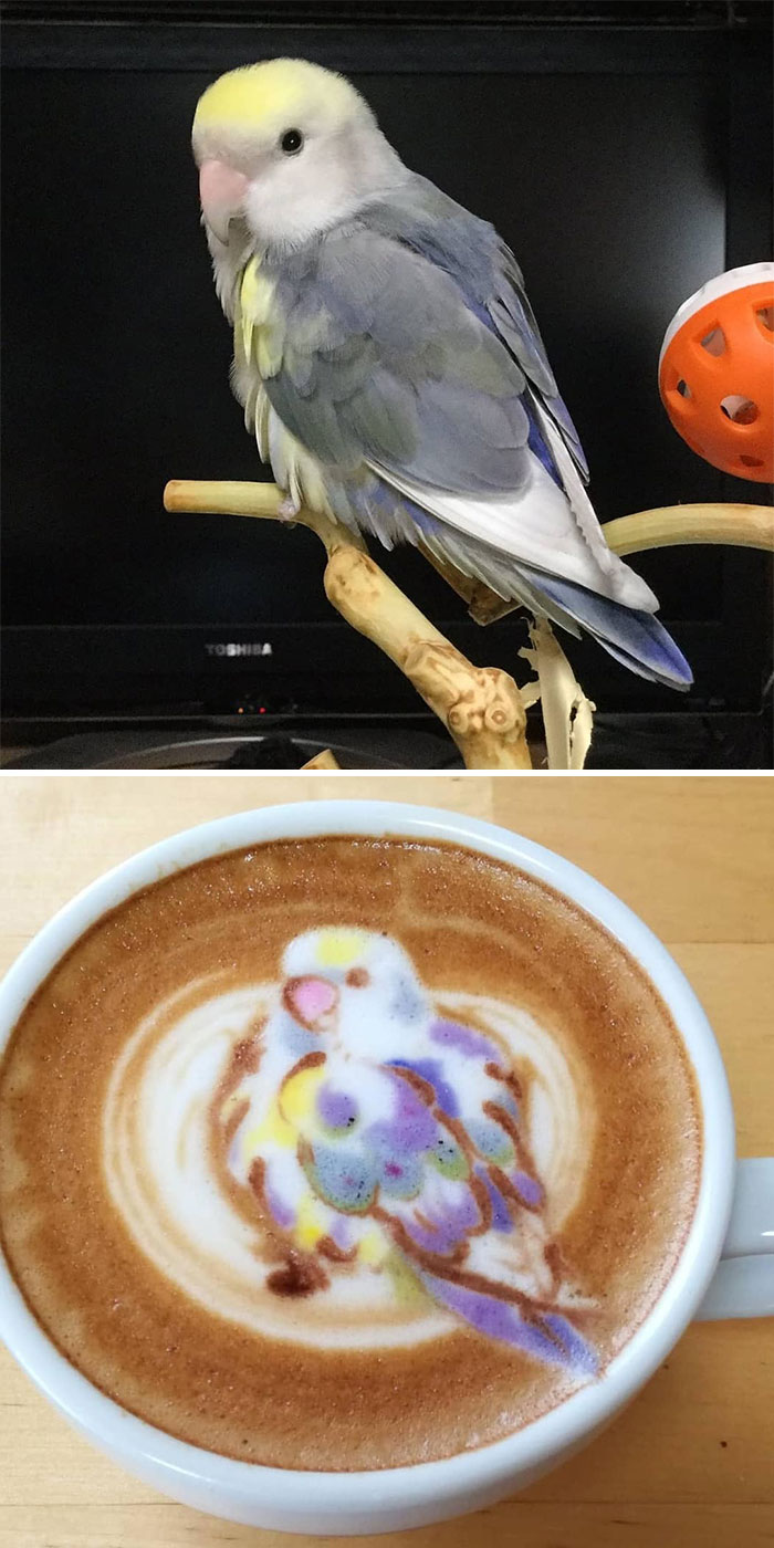 Japanese Uses His Passion For Birds And Creates Incredible Designs In Coffee