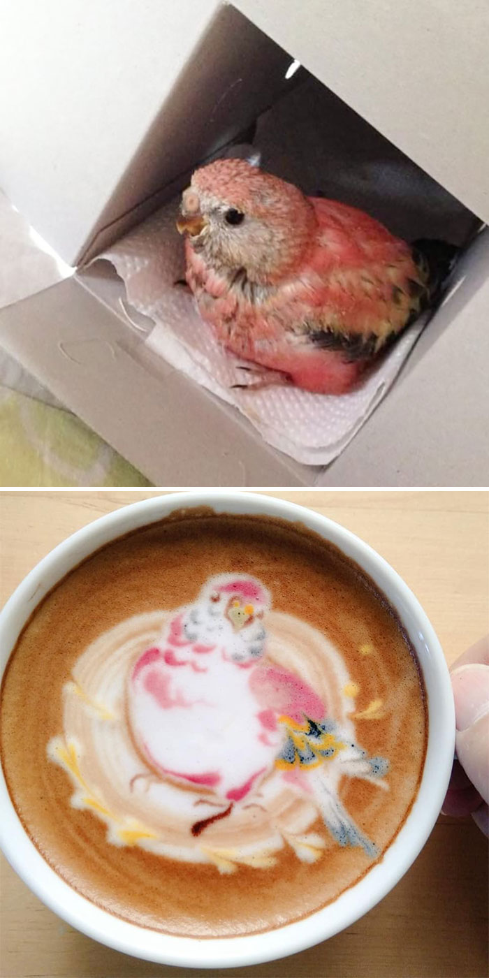 Japanese Uses His Passion For Birds And Creates Incredible Designs In Coffee