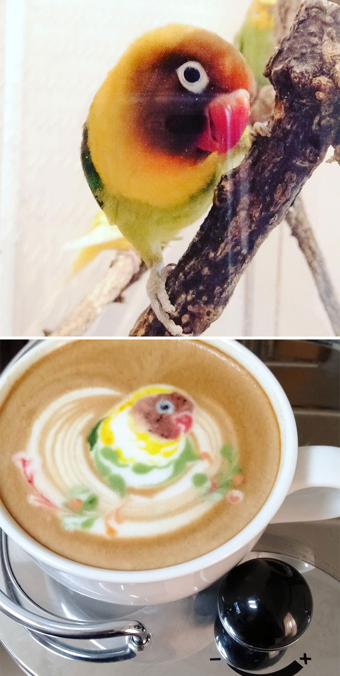 Japanese Uses His Passion For Birds And Creates Incredible Designs In Coffee