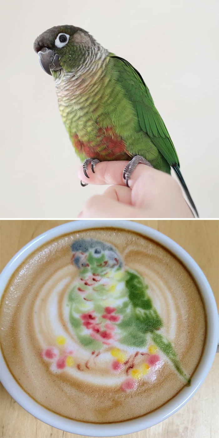 Japanese Uses His Passion For Birds And Creates Incredible Designs In Coffee