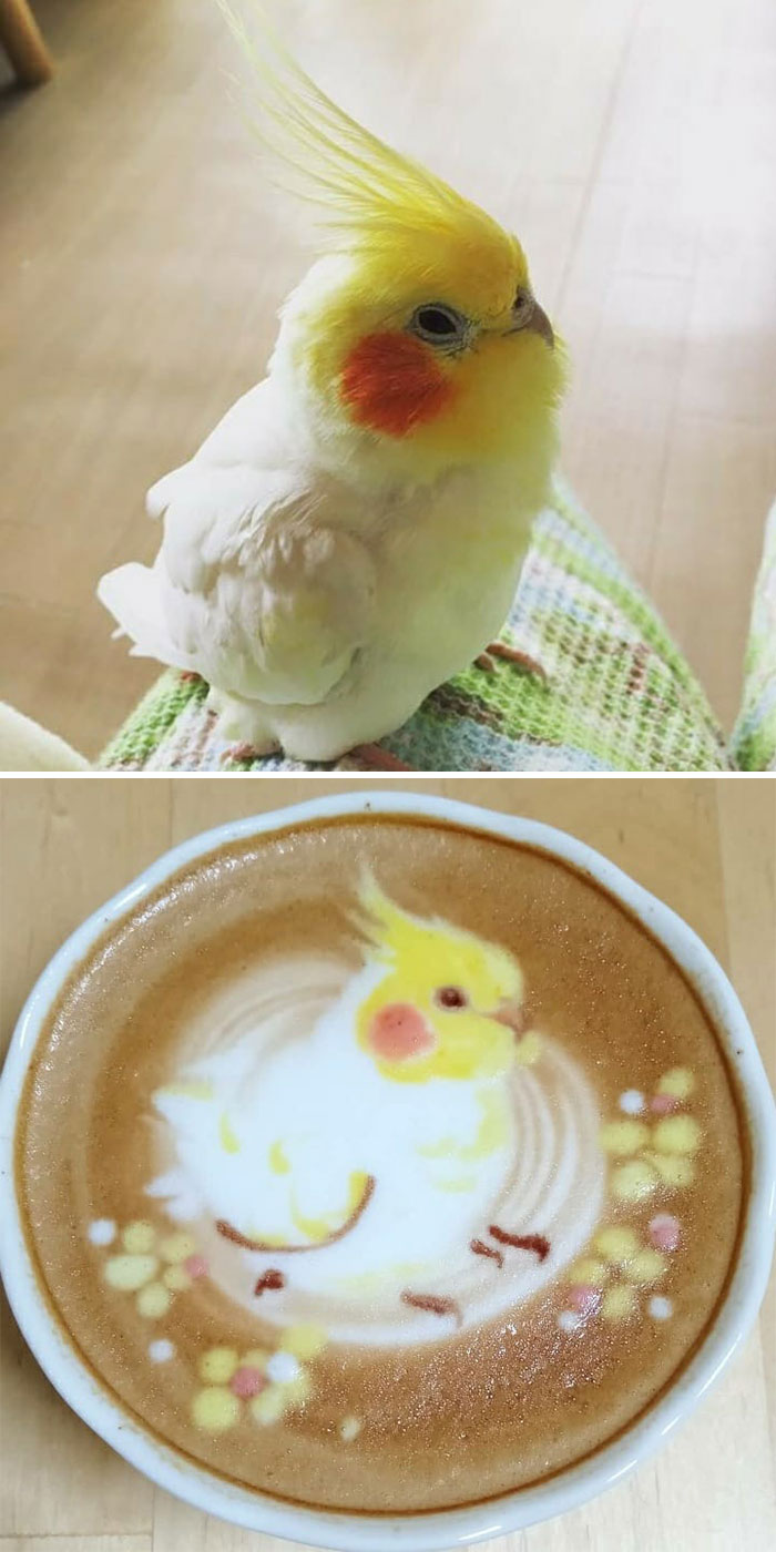 Japanese Uses His Passion For Birds And Creates Incredible Designs In Coffee