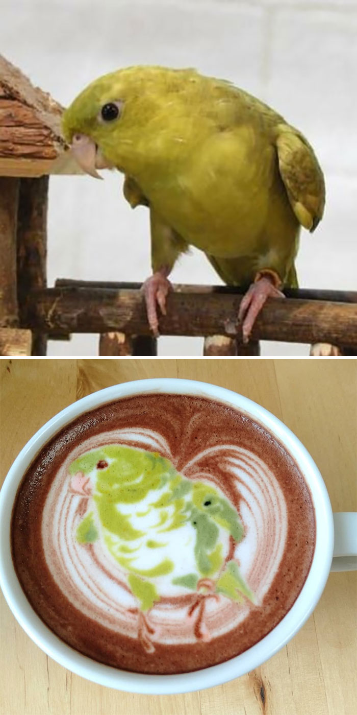 Japanese Uses His Passion For Birds And Creates Incredible Designs In Coffee
