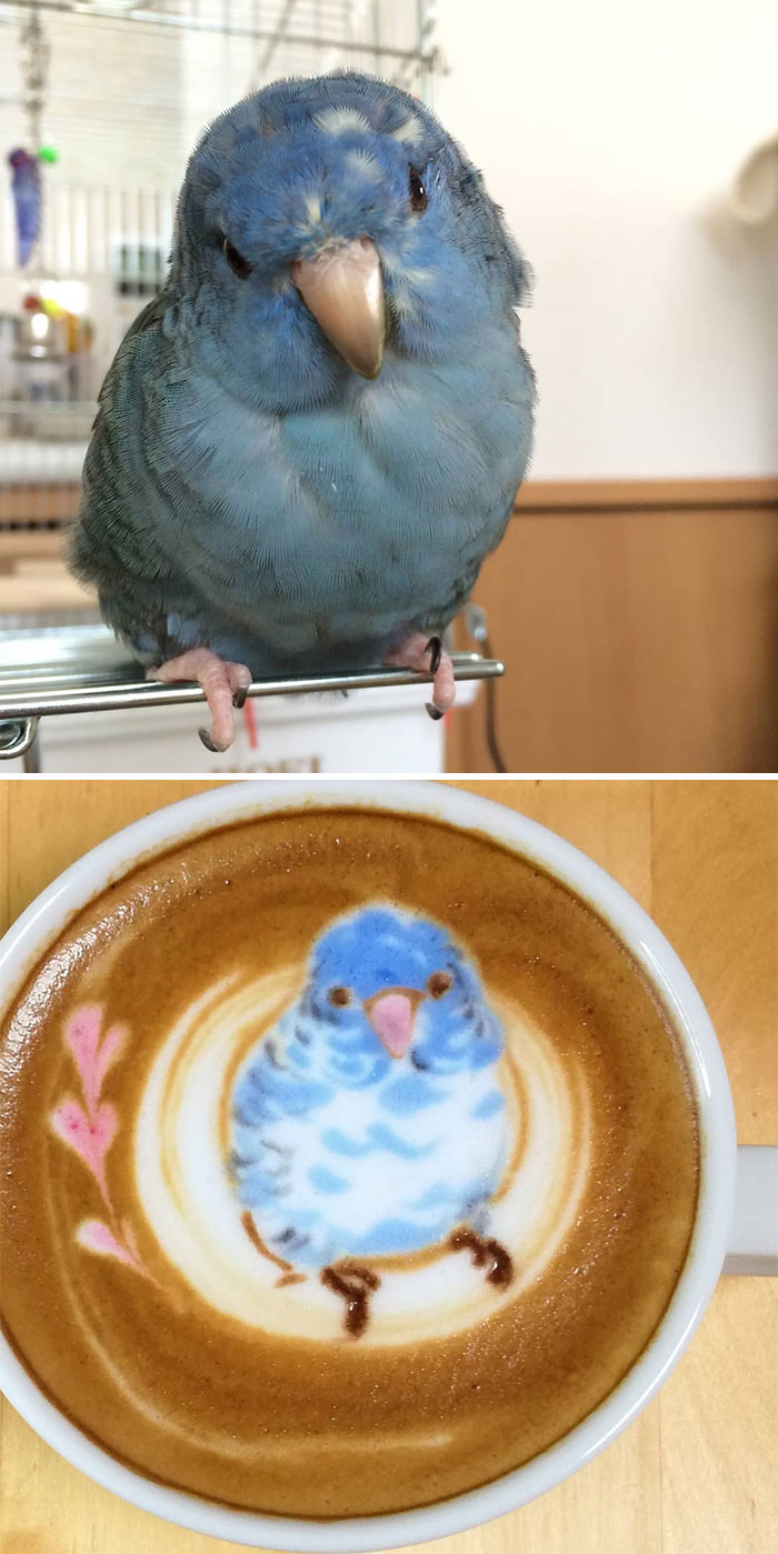 Japanese Uses His Passion For Birds And Creates Incredible Designs In Coffee