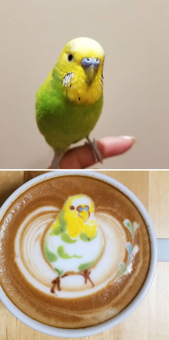 Japanese Uses His Passion For Birds And Creates Incredible Designs In Coffee