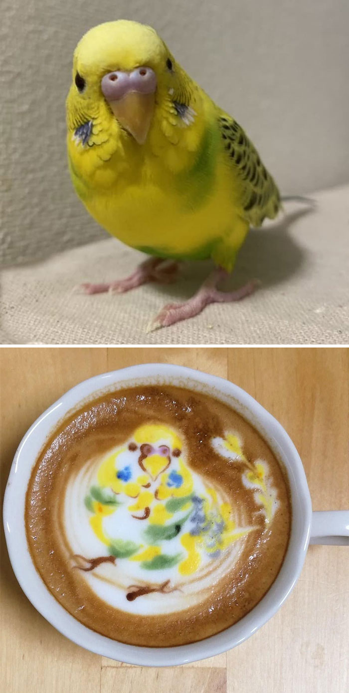 Japanese Uses His Passion For Birds And Creates Incredible Designs In Coffee