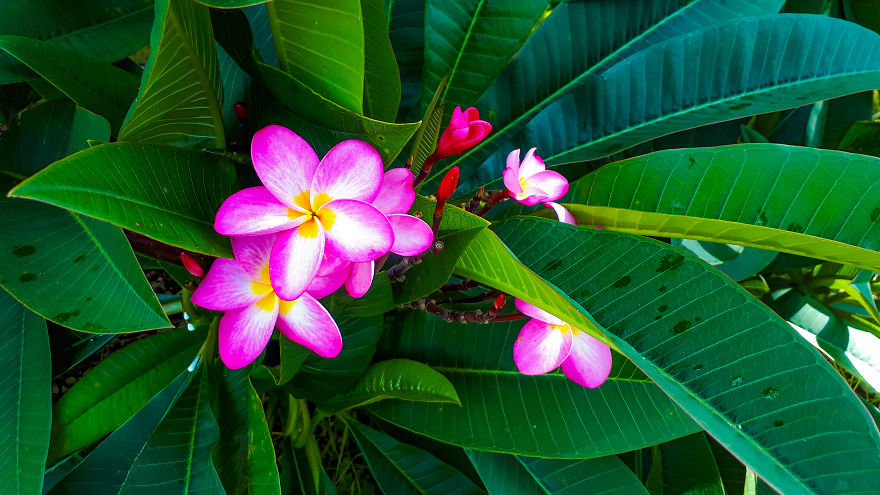 My Road Trip Along The Australian East Coast Part Two - Queensland