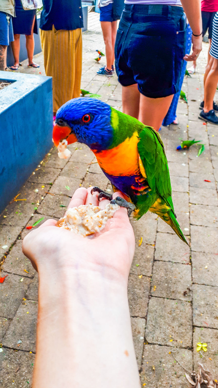 My Road Trip Along The Australian East Coast Part Two - Queensland