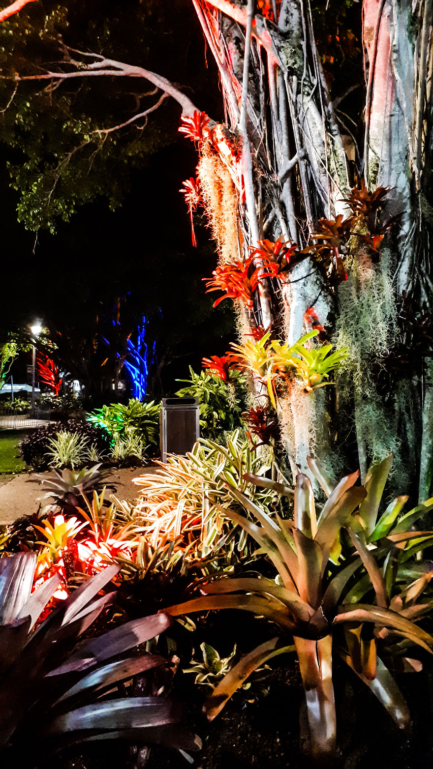 My Road Trip Along The Australian East Coast Part Two - Queensland