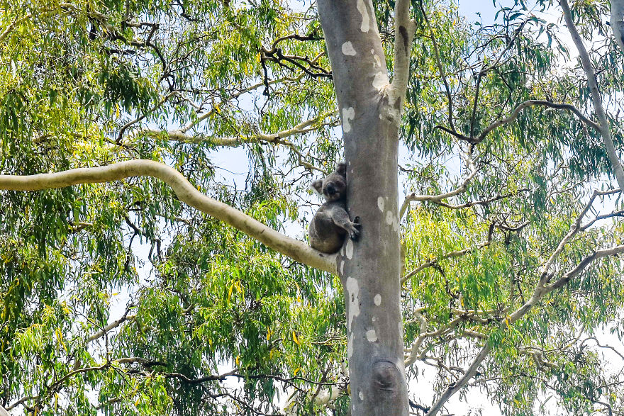My Road Trip Along The Australian East Coast Part Two - Queensland