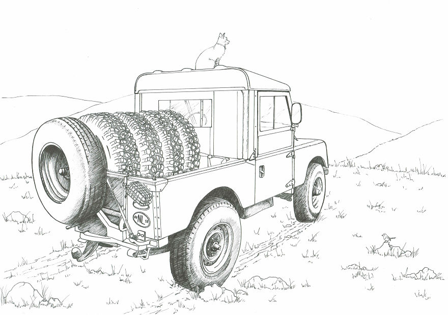 I’ve Lost My Inspiration Today, My Beautiful Cat Is Gone.