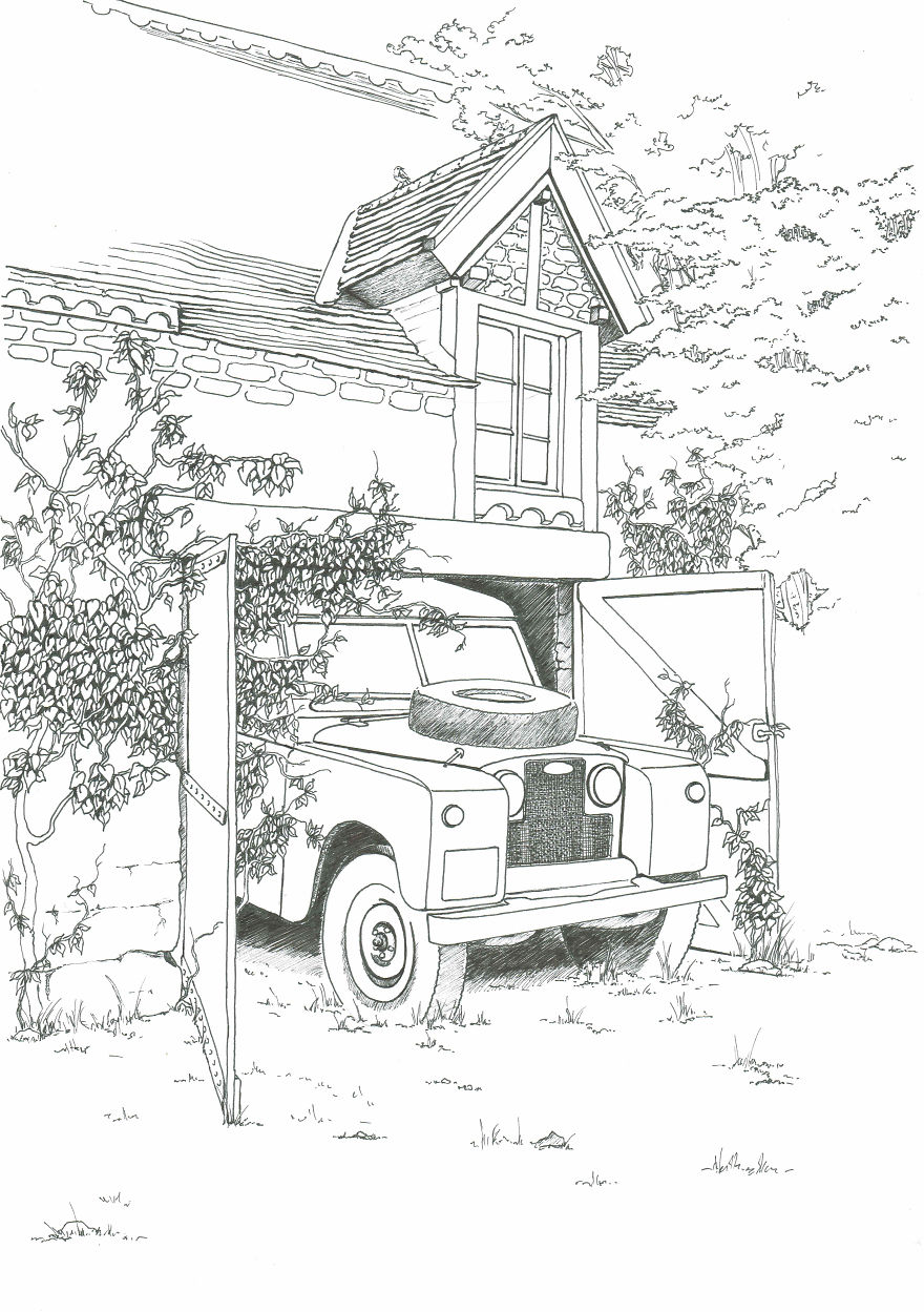 I’ve Lost My Inspiration Today, My Beautiful Cat Is Gone.