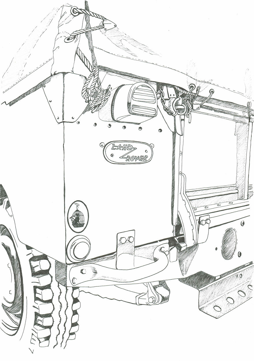 I’ve Lost My Inspiration Today, My Beautiful Cat Is Gone.