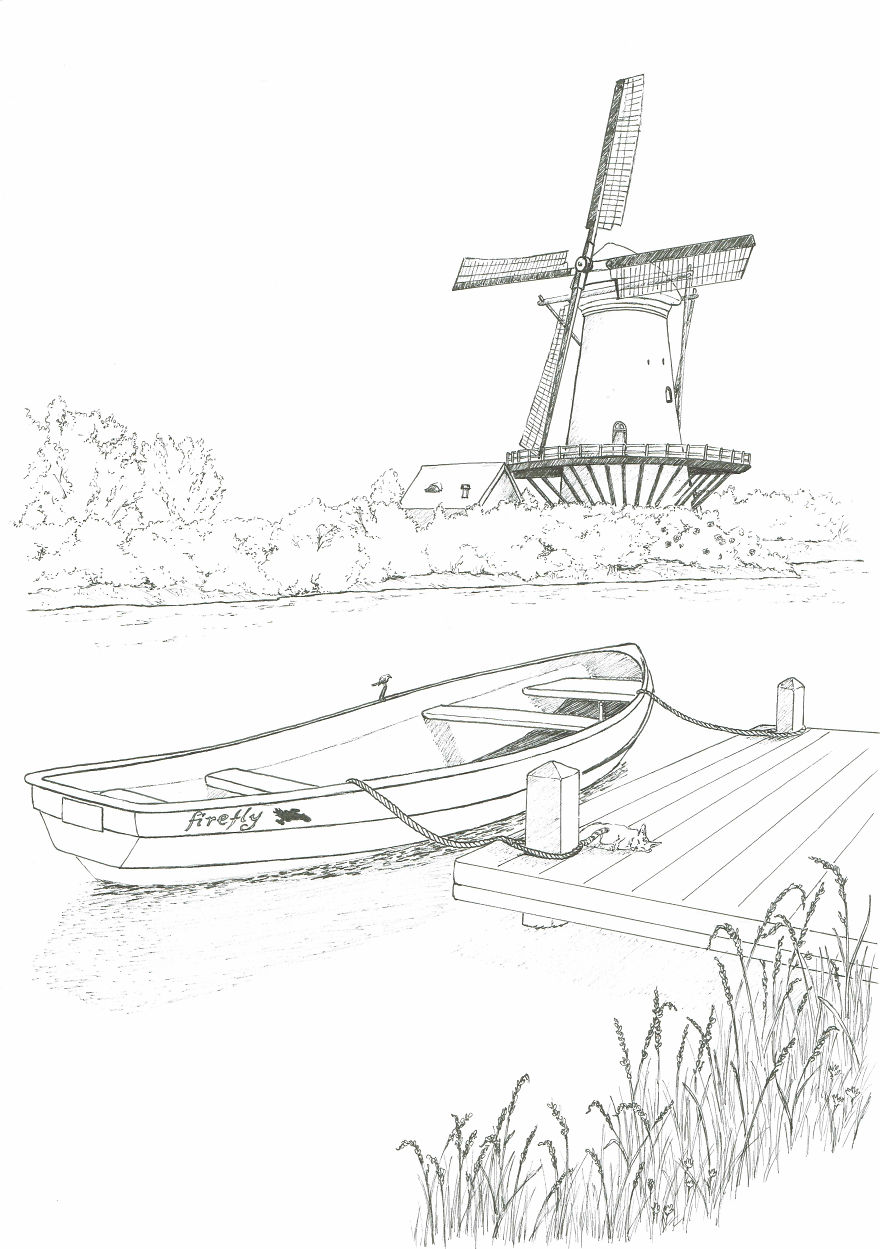 I’ve Lost My Inspiration Today, My Beautiful Cat Is Gone.