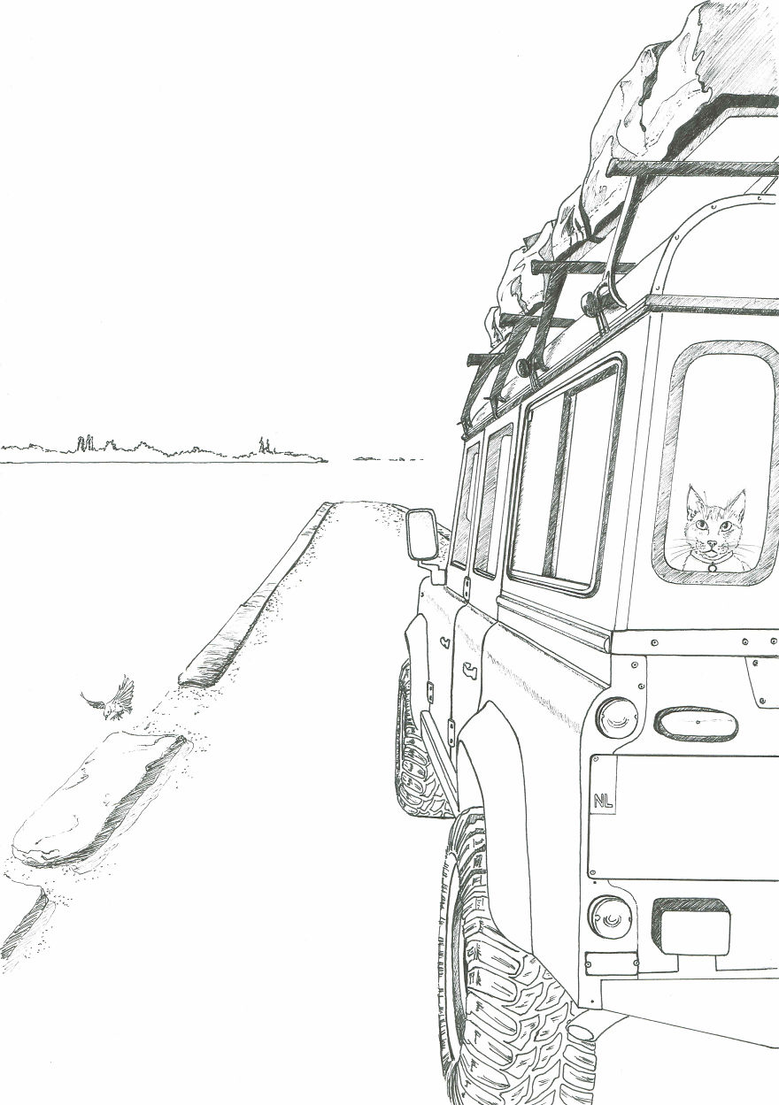 I’ve Lost My Inspiration Today, My Beautiful Cat Is Gone.