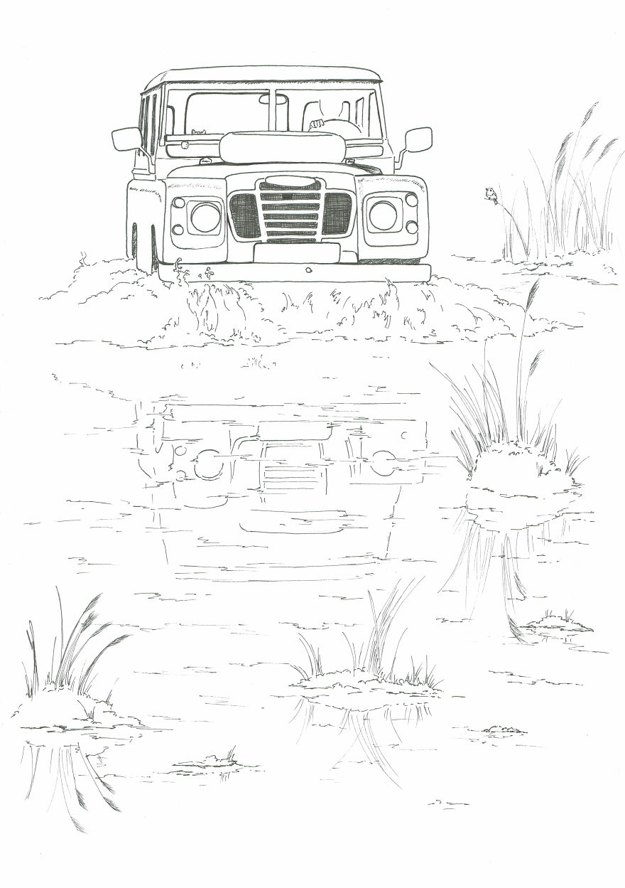 I’ve Lost My Inspiration Today, My Beautiful Cat Is Gone.