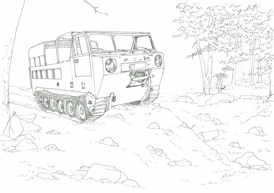 I’ve Lost My Inspiration Today, My Beautiful Cat Is Gone.