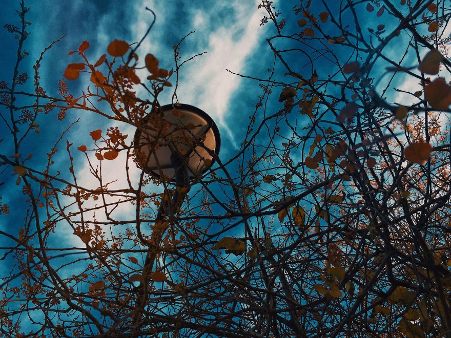 Photographer Captures Marvelous Moments By Mobilography Photographer Captures Marvelous Moments By Mobilography