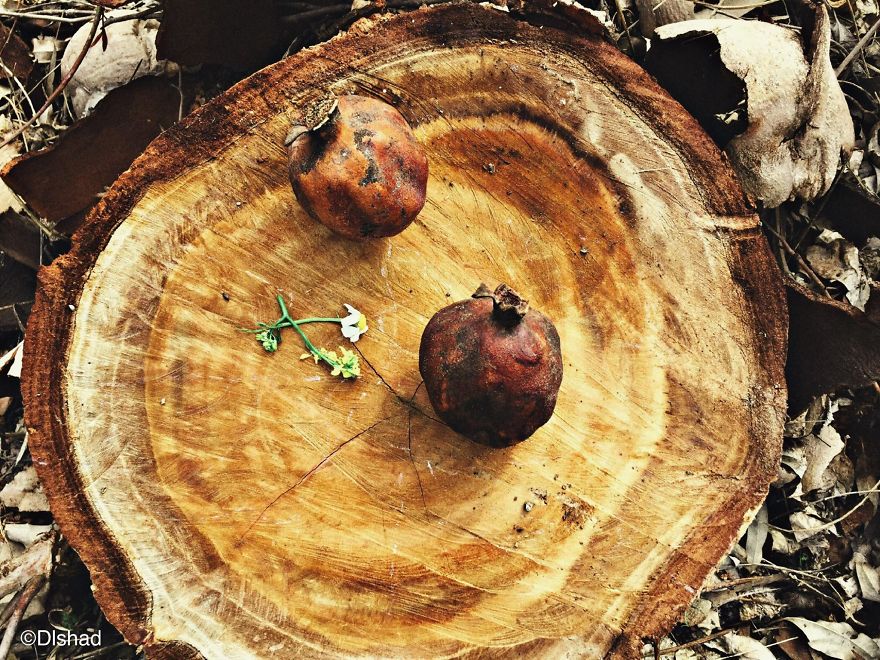 Photographer Captures Marvelous Moments By Mobilography Photographer Captures Marvelous Moments By Mobilography